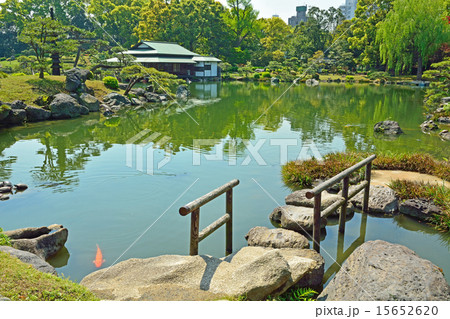 清澄庭園:磯渡り 清澄庭園:磯渡り 15652620