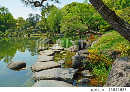 清澄庭園:磯渡り 清澄庭園:磯渡り 15652623