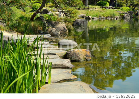 清澄庭園：磯渡り 15652625