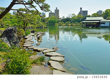 清澄庭園:磯渡り 清澄庭園:磯渡り 15652630