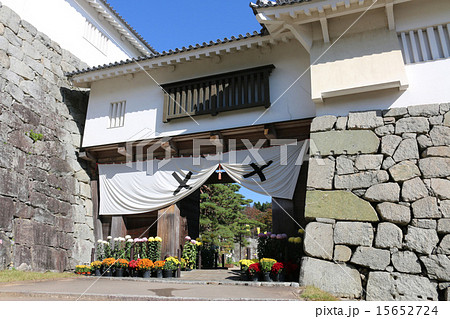 秋の霞ヶ城 秋の霞ヶ城 15652724