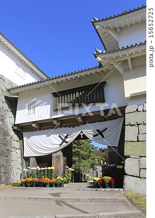 秋の霞ヶ城 秋の霞ヶ城 15652725