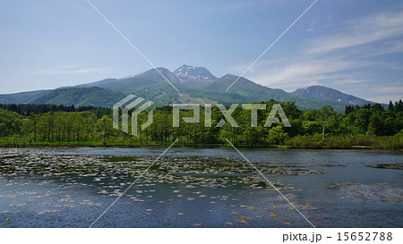 妙高山といもり池 妙高山といもり池 15652788