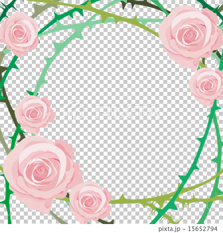 薔薇 薔薇 15652794