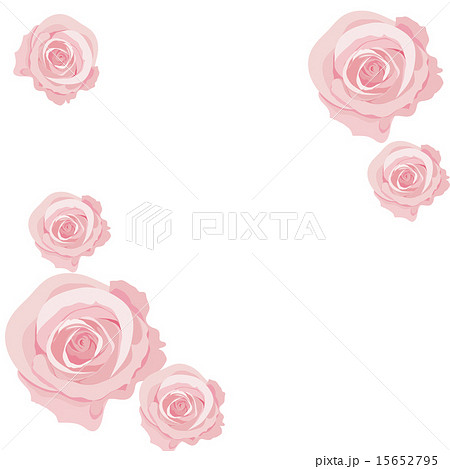 薔薇 薔薇 15652795
