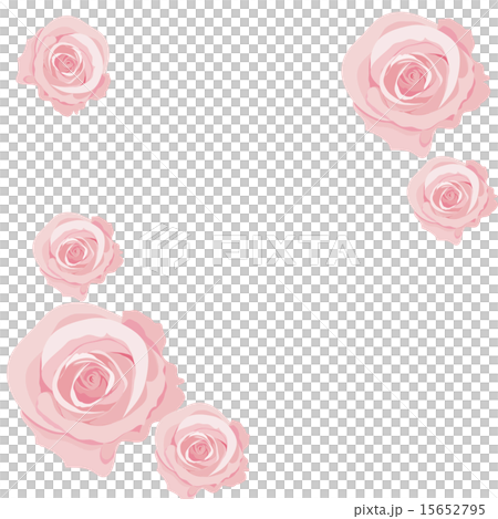 薔薇 薔薇 15652795