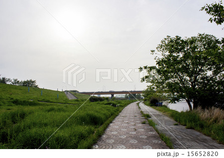 荒川沿いの風景 荒川沿いの風景 15652820
