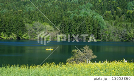 北竜湖と新緑 北竜湖と新緑 15652860