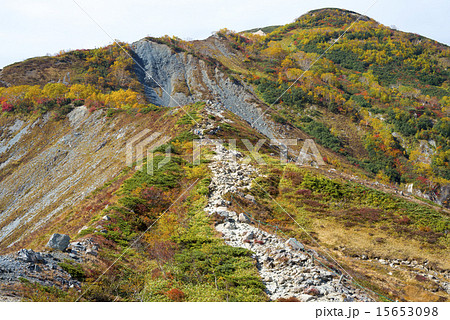 紅葉の季節の八方尾根自然研究路 15653098