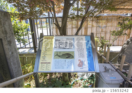 鯨塚 鯨塚 15653242