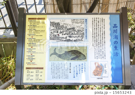 鯨塚 鯨塚 15653243