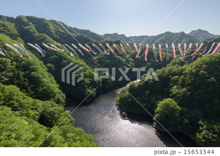竜神峡を泳ぐ色とりどりの鯉のぼり(HDR) 15653544