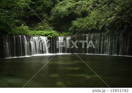 白糸の滝 白糸の滝 15653782