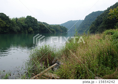 玉淀湖（埼玉県大里郡寄居町） 15654242