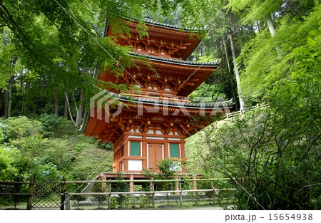 京都岩舟寺の庭園風景 京都岩舟寺の庭園風景 15654938