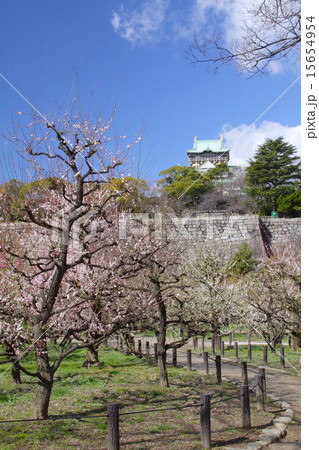 梅の香り漂う「日本三名城」大阪城/大阪城梅林/平成百景 15654954