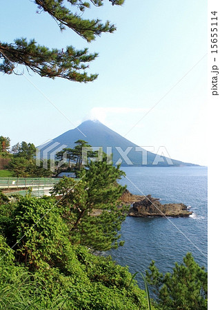 瀬平自然公園　開聞岳の雄姿 15655114