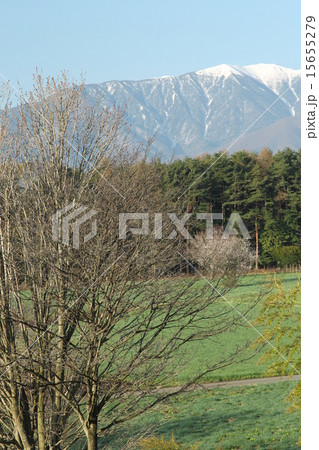 残雪の風景 15655279