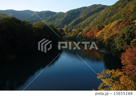 荒川・波久礼付近 15655288