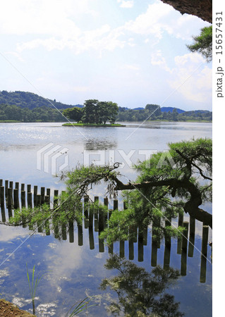 夏の南湖公園 15657431