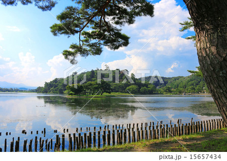 夏の南湖公園 15657434