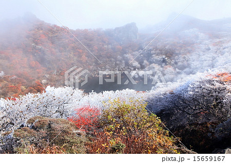 冬の訪れ(大船山) 15659167