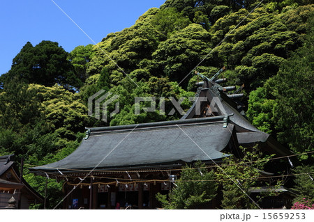 物部神社 物部神社 15659253