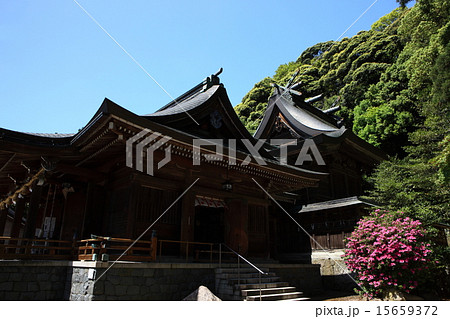 物部神社 物部神社 15659372