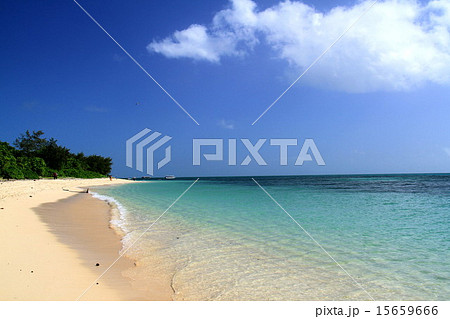 グリーン島(オーストラリア) グリーン島(オーストラリア) 15659666