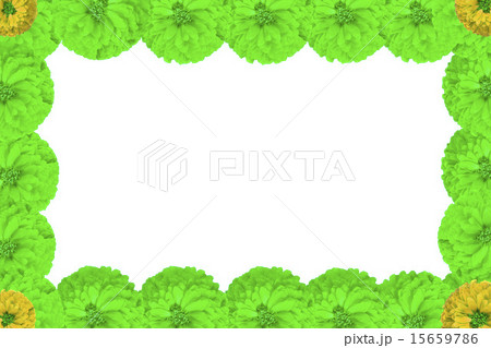 Flowers 15659786