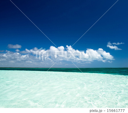 tropical sea tropical sea 15661777