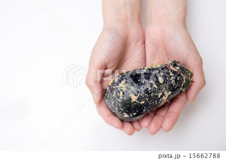 手に持った水ナス 手に持った水ナス 15662788