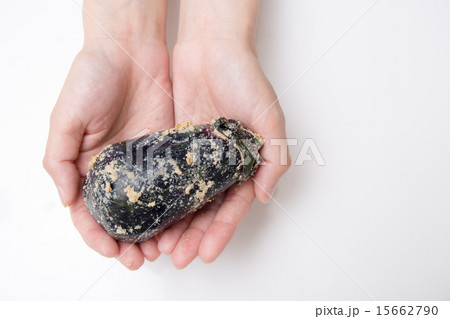 手に持った水ナス 手に持った水ナス 15662790