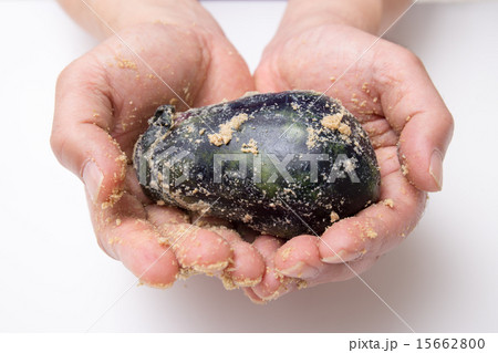 手に持った水ナス 手に持った水ナス 15662800