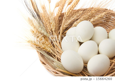 Duck eggs Duck eggs 15664260