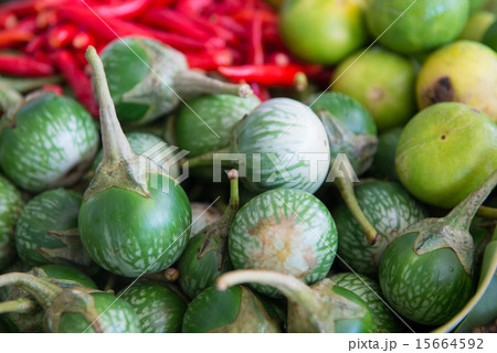 Thai Green Eggplant 15664592