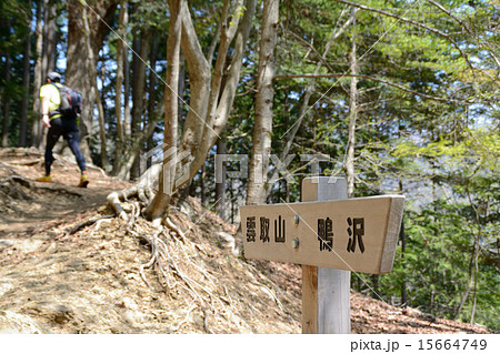 雲取山登山 雲取山登山 15664749