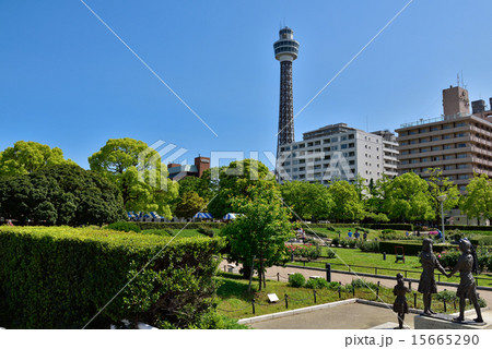 晴れた日の山下公園 晴れた日の山下公園 15665290