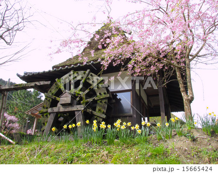 美山町の古い町並み（かやぶき屋根）　 15665424
