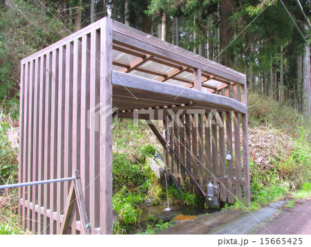 美山町の湧き水「神田の水（じんでんのみず）」 15665425