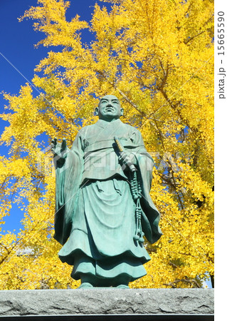 京都　秋の頂妙寺 15665590