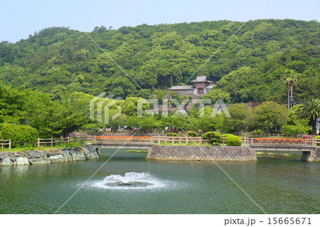 和歌山　御手洗池公園 15665671