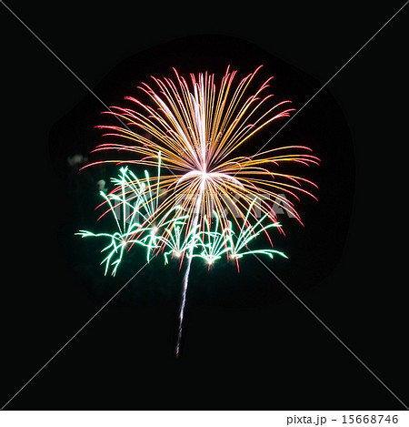 Colorful fireworks on the black sky background 15668746