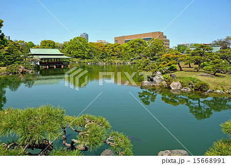 清澄庭園：大泉水と涼亭 15668991