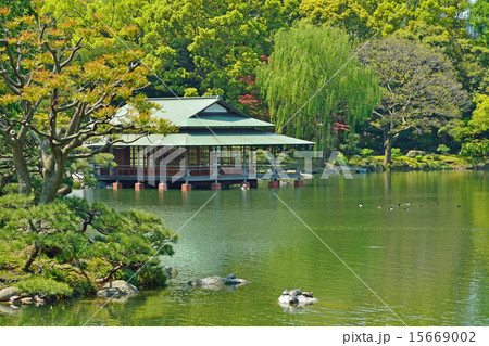 清澄庭園：大泉水と涼亭 15669002