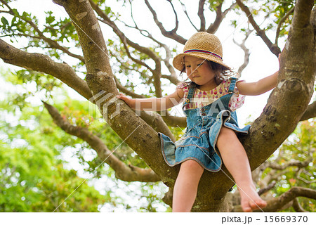 木登りをする女の子 15669370