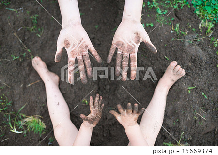 土遊びをする親子の手 15669374