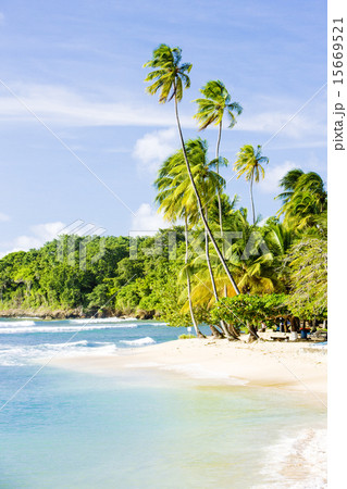 Mount Irvine Bay, Tobago 15669521