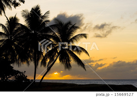 sunset over Caribbean Sea, Turtle Beach, Tobago 15669527