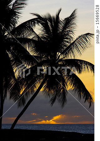 sunset over Caribbean Sea, Turtle Beach, Tobago 15669528